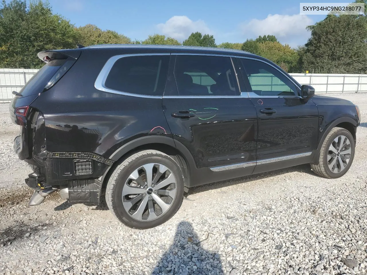 2022 Kia Telluride Ex VIN: 5XYP34HC9NG218077 Lot: 72075964