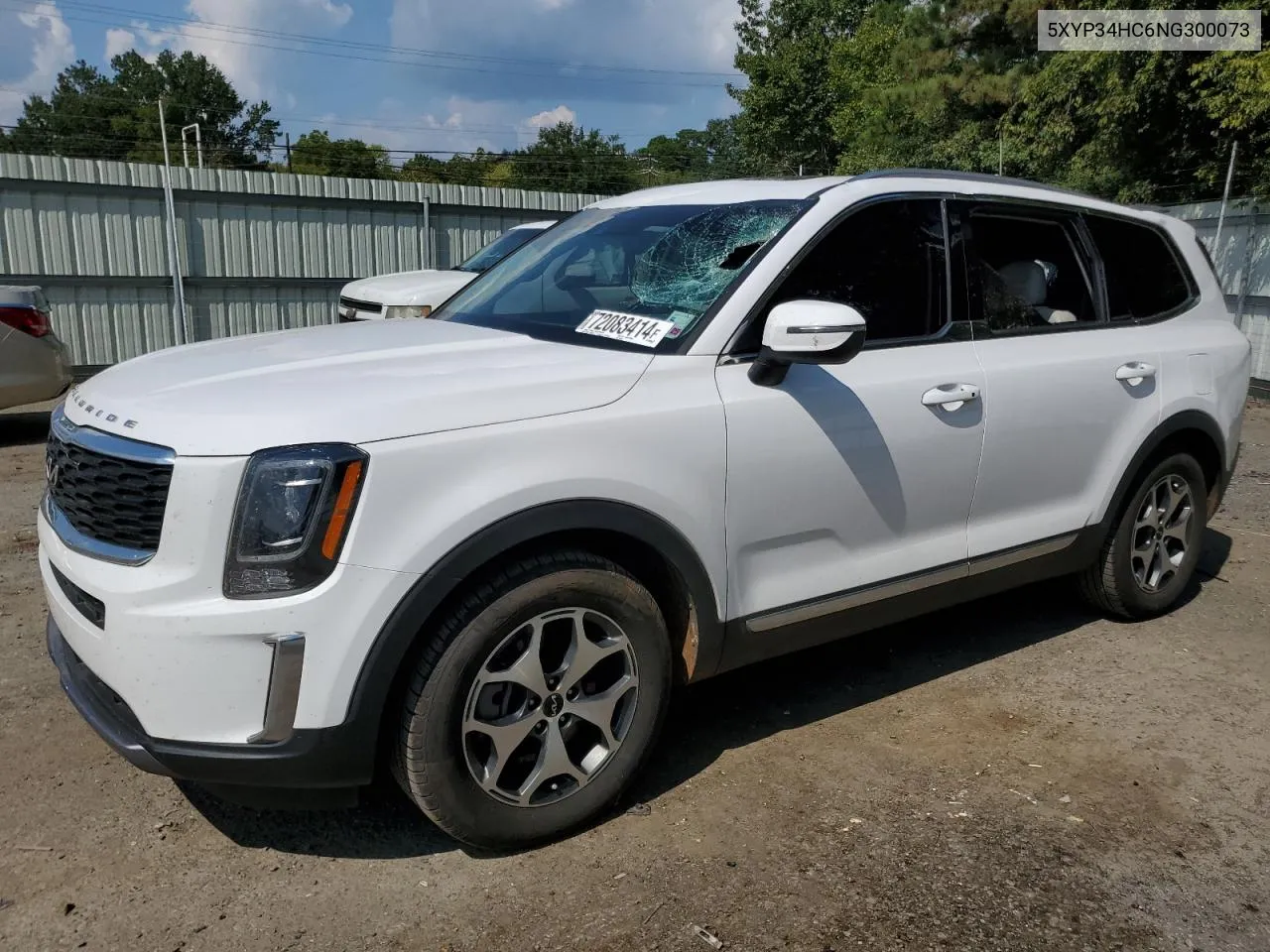 2022 Kia Telluride Ex VIN: 5XYP34HC6NG300073 Lot: 72083414