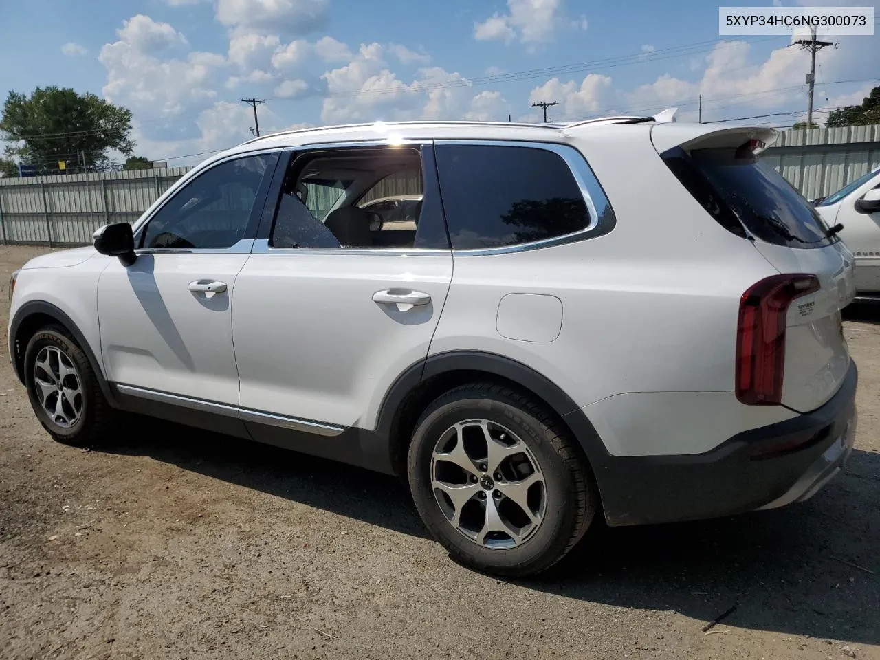 2022 Kia Telluride Ex VIN: 5XYP34HC6NG300073 Lot: 72083414