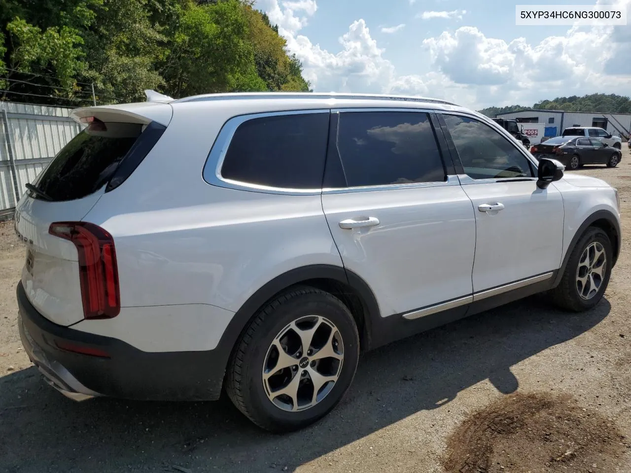 2022 Kia Telluride Ex VIN: 5XYP34HC6NG300073 Lot: 72083414