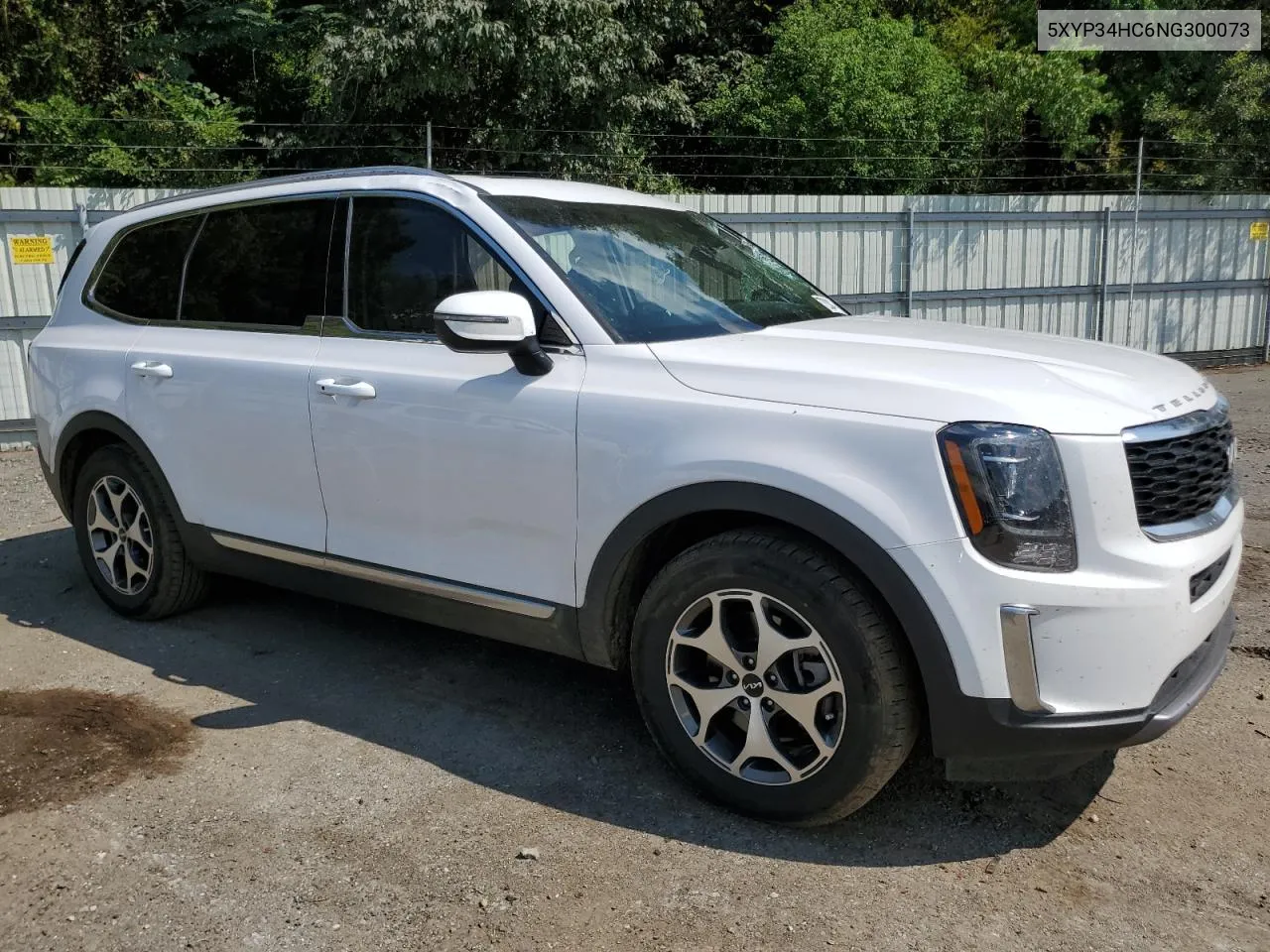 2022 Kia Telluride Ex VIN: 5XYP34HC6NG300073 Lot: 72083414