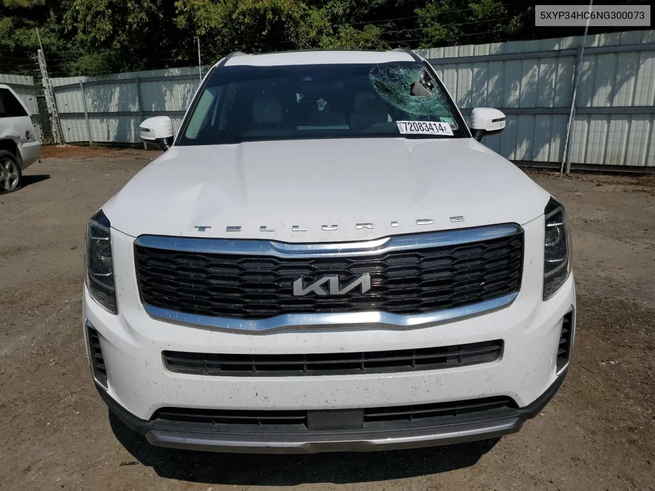 2022 Kia Telluride Ex VIN: 5XYP34HC6NG300073 Lot: 72083414