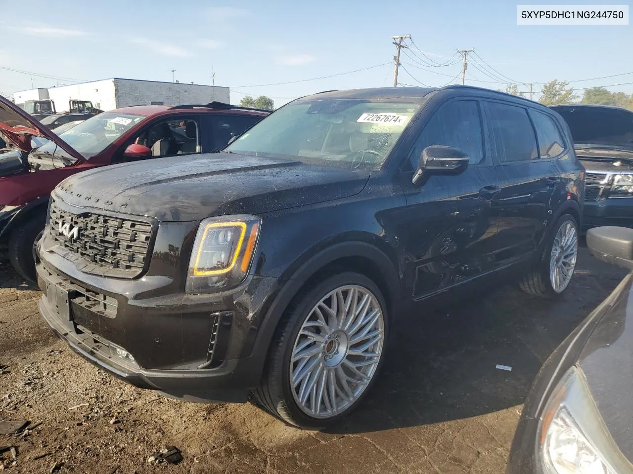 2022 Kia Telluride Sx VIN: 5XYP5DHC1NG244750 Lot: 72267674