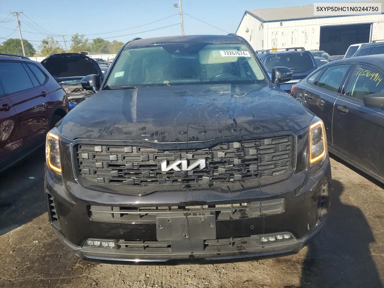 2022 Kia Telluride Sx VIN: 5XYP5DHC1NG244750 Lot: 72267674