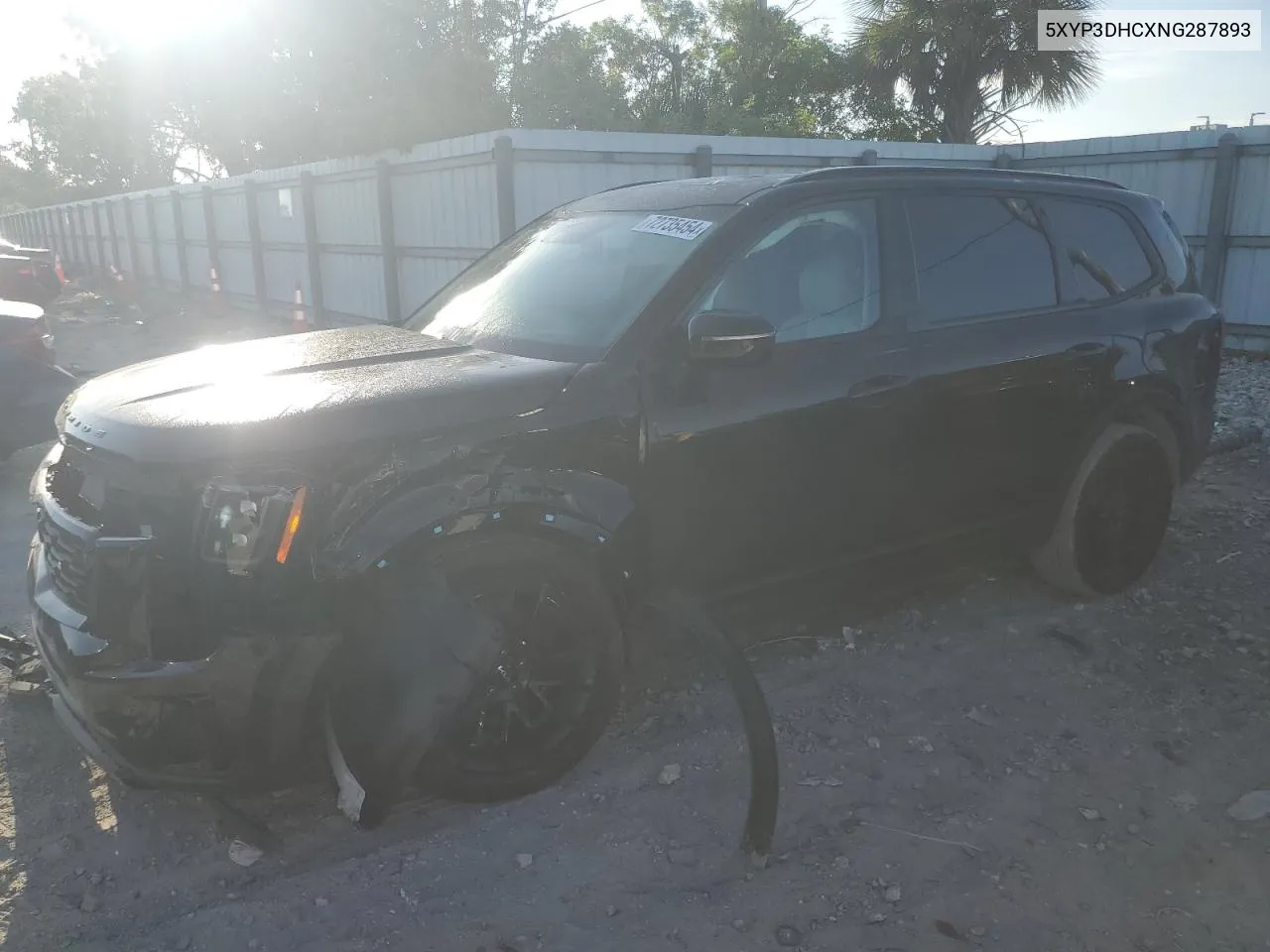 2022 Kia Telluride Ex VIN: 5XYP3DHCXNG287893 Lot: 72735454