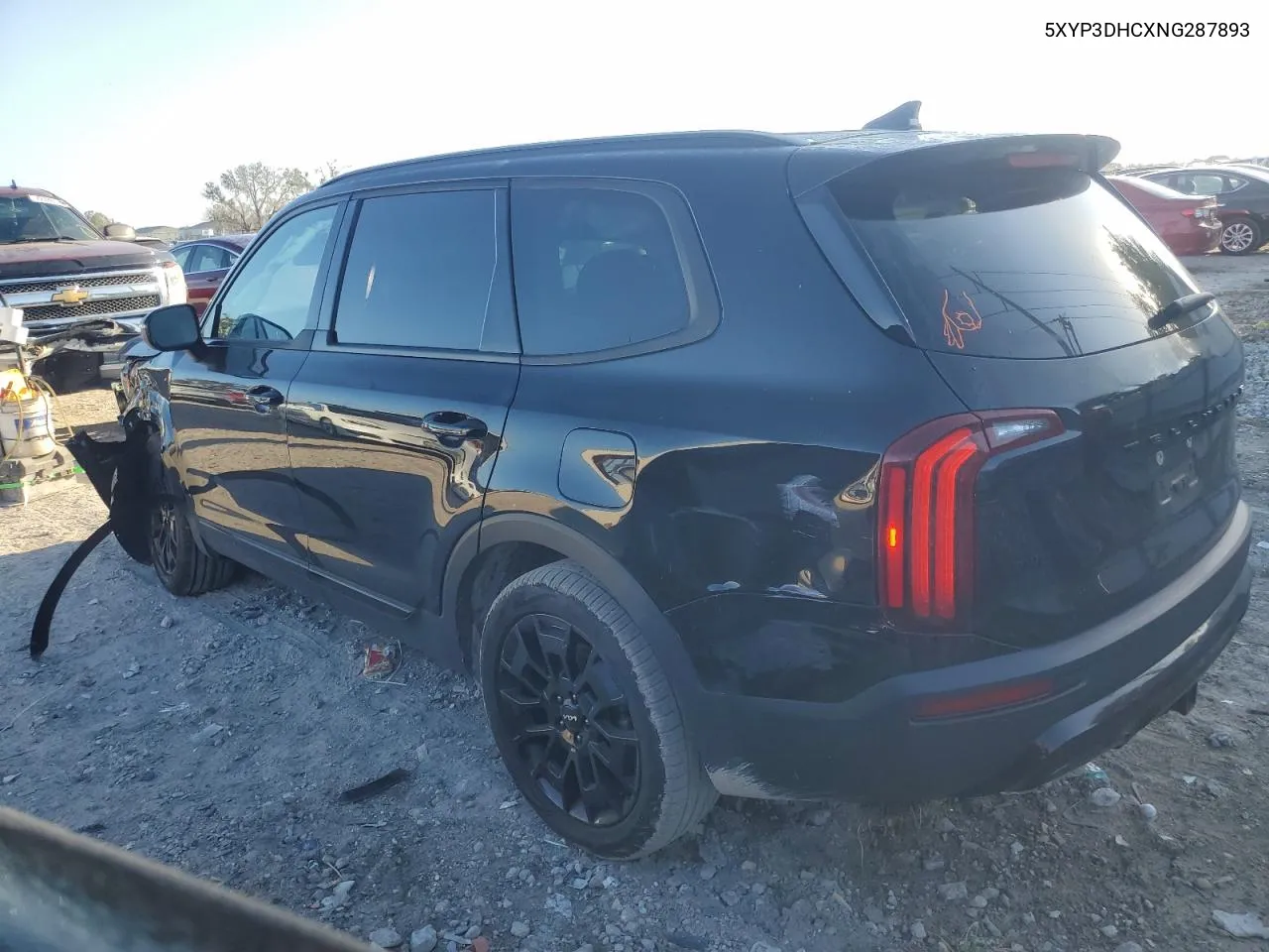 2022 Kia Telluride Ex VIN: 5XYP3DHCXNG287893 Lot: 72735454