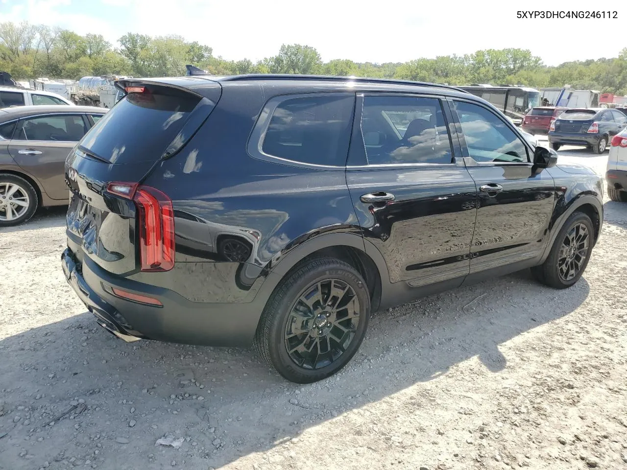 2022 Kia Telluride Ex VIN: 5XYP3DHC4NG246112 Lot: 72983244