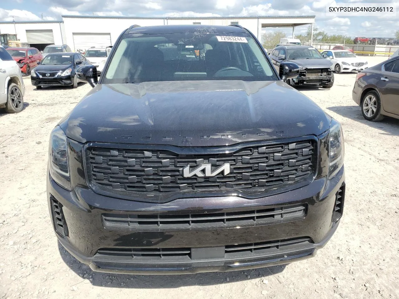 2022 Kia Telluride Ex VIN: 5XYP3DHC4NG246112 Lot: 72983244