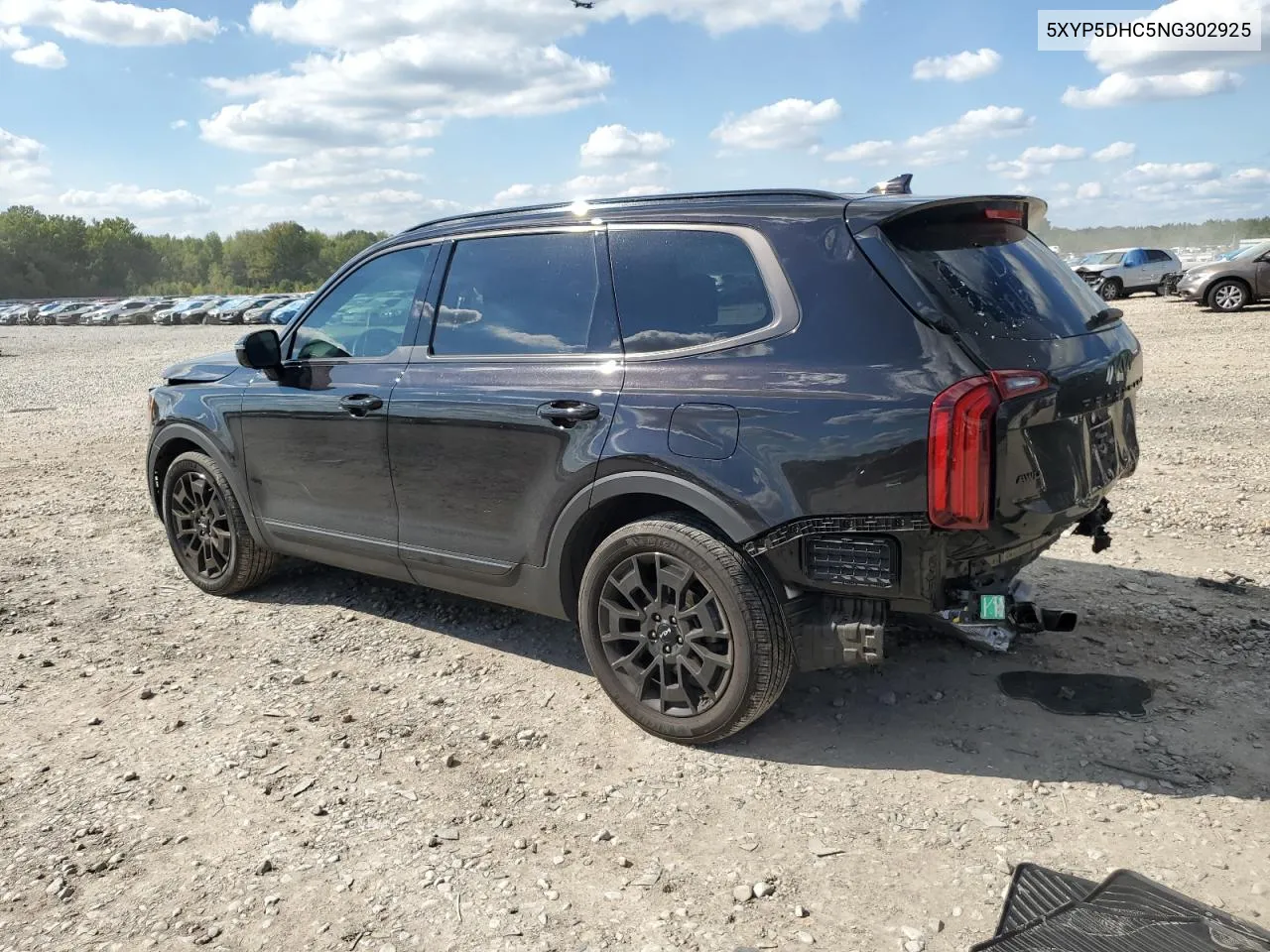 2022 Kia Telluride Sx VIN: 5XYP5DHC5NG302925 Lot: 73100794