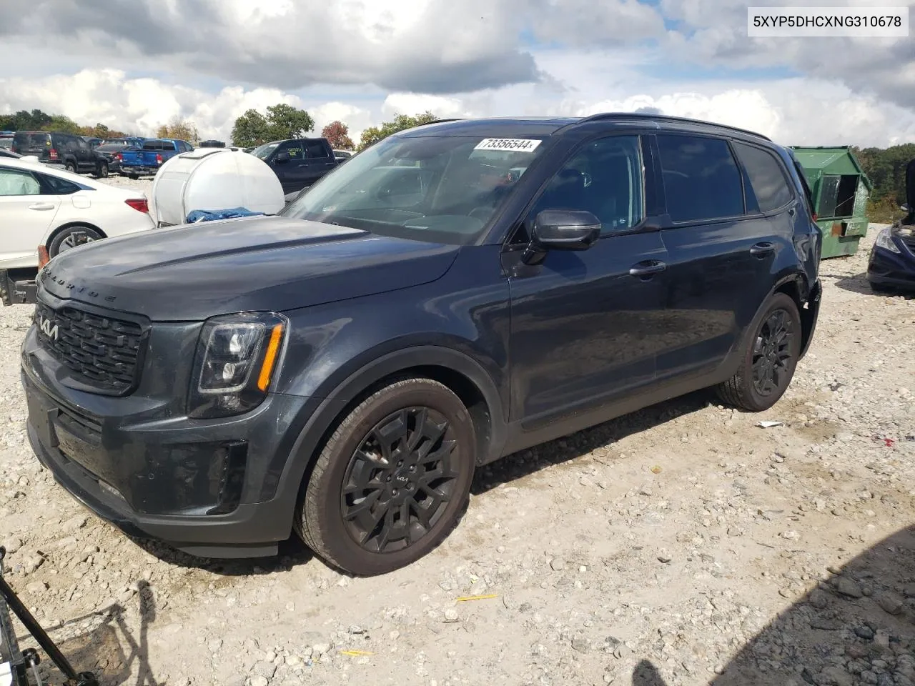 2022 Kia Telluride Sx VIN: 5XYP5DHCXNG310678 Lot: 73356544