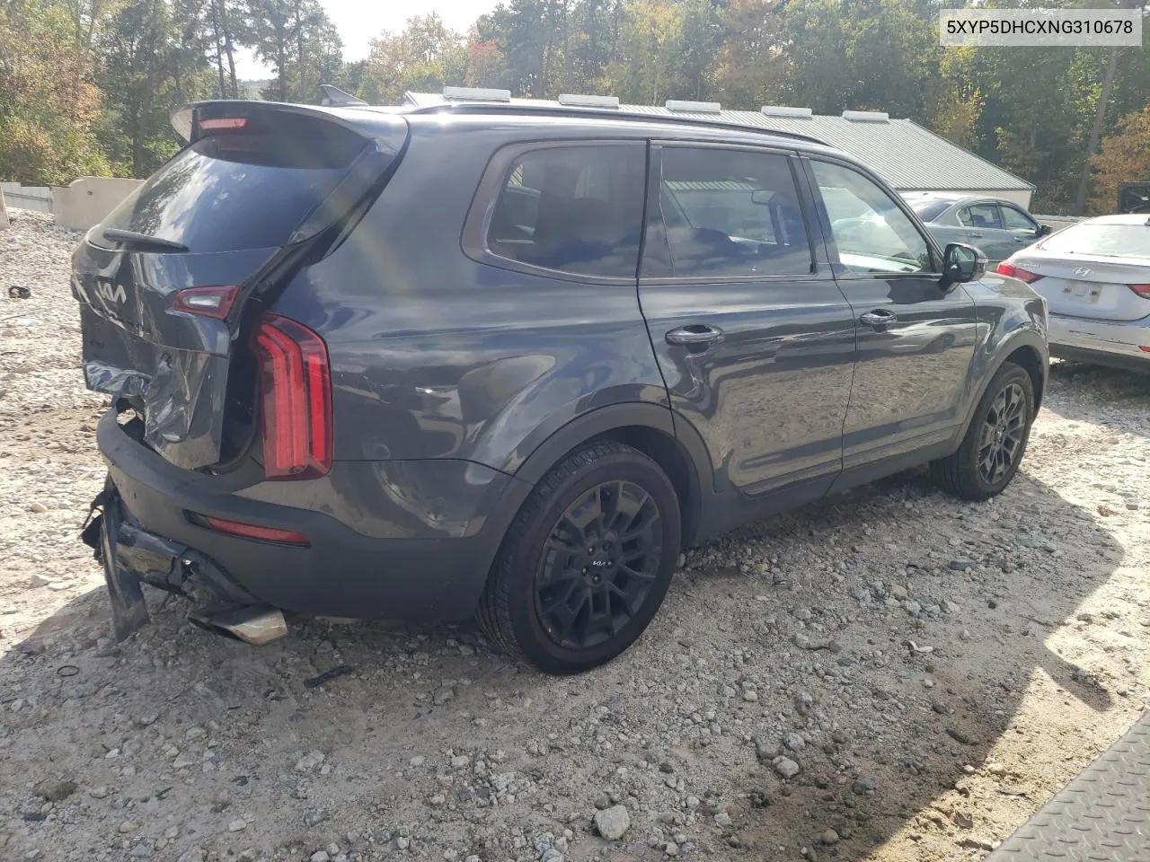 2022 Kia Telluride Sx VIN: 5XYP5DHCXNG310678 Lot: 73356544