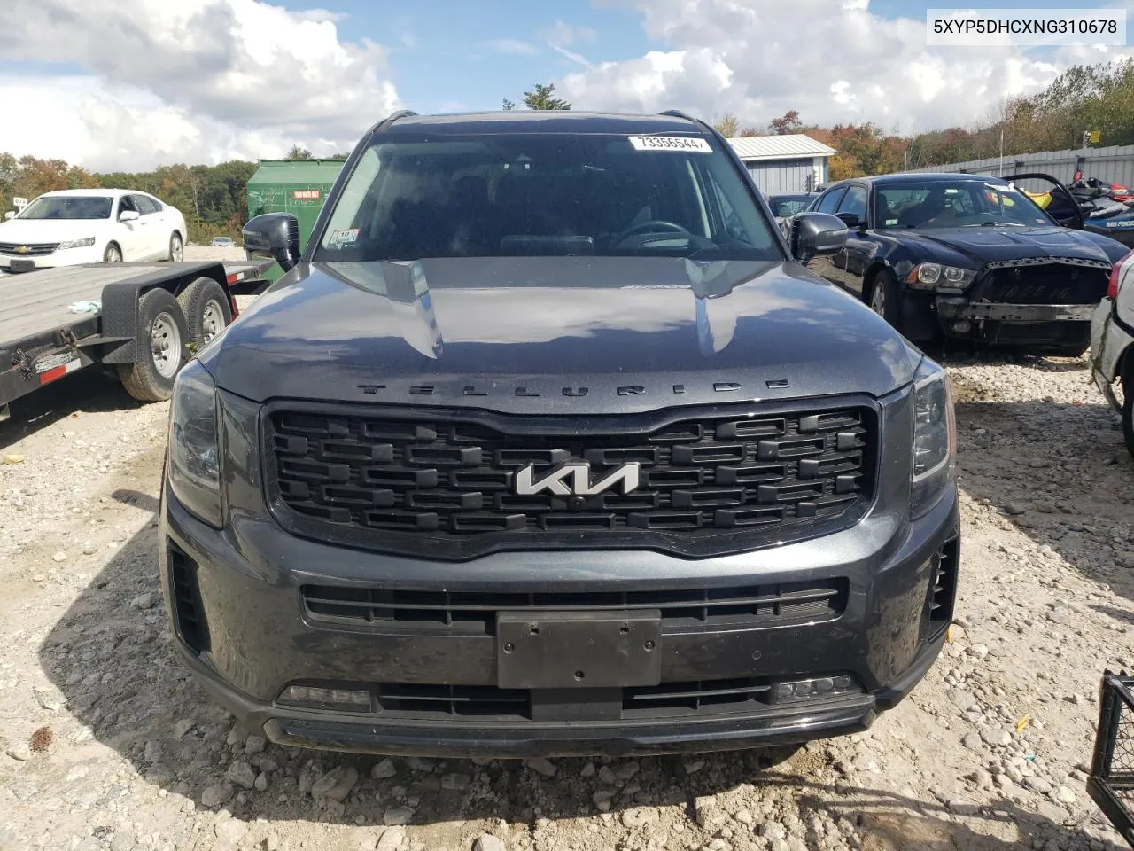 2022 Kia Telluride Sx VIN: 5XYP5DHCXNG310678 Lot: 73356544