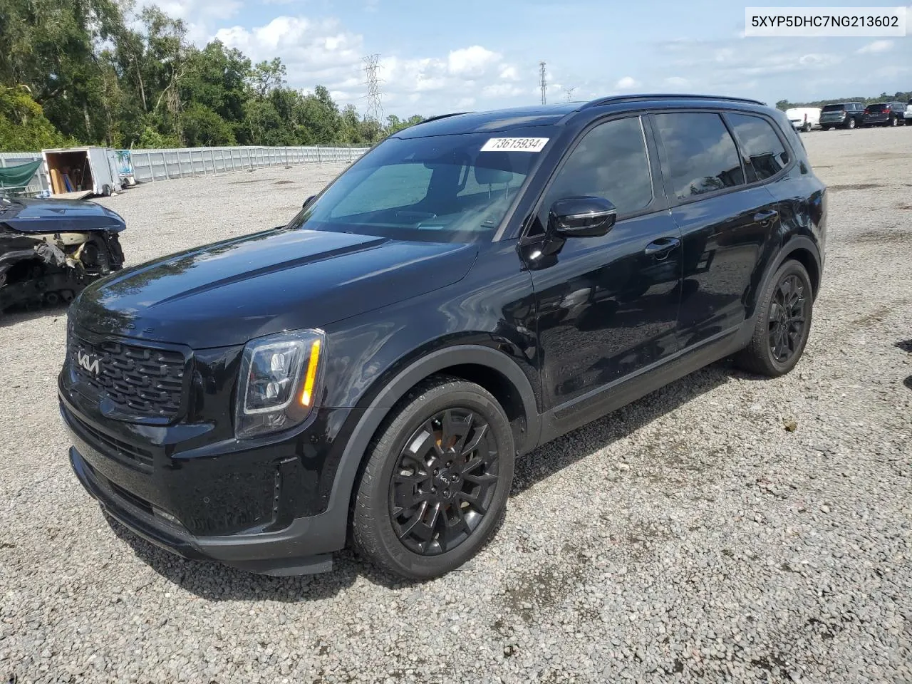 2022 Kia Telluride Sx VIN: 5XYP5DHC7NG213602 Lot: 73615934