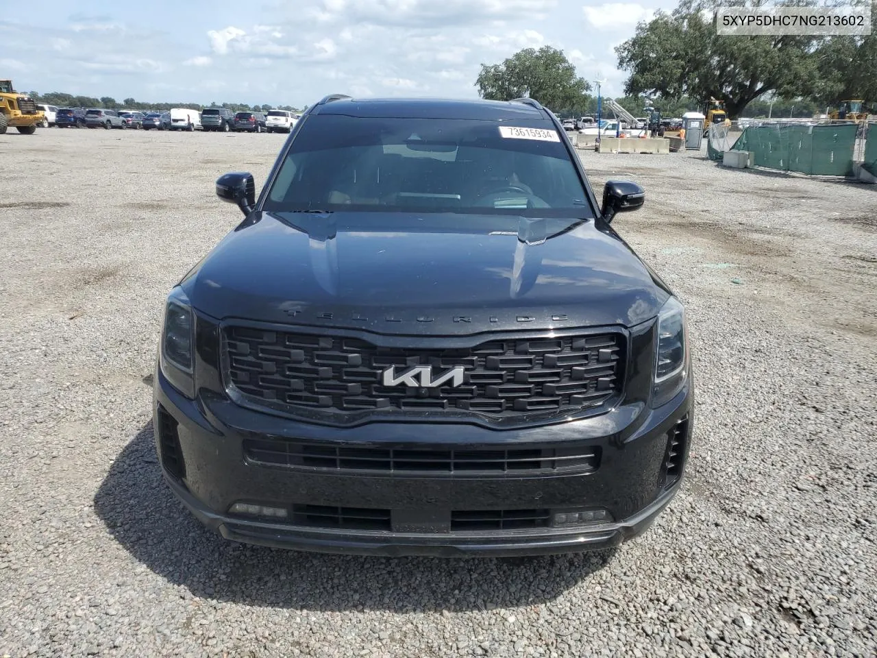 2022 Kia Telluride Sx VIN: 5XYP5DHC7NG213602 Lot: 73615934