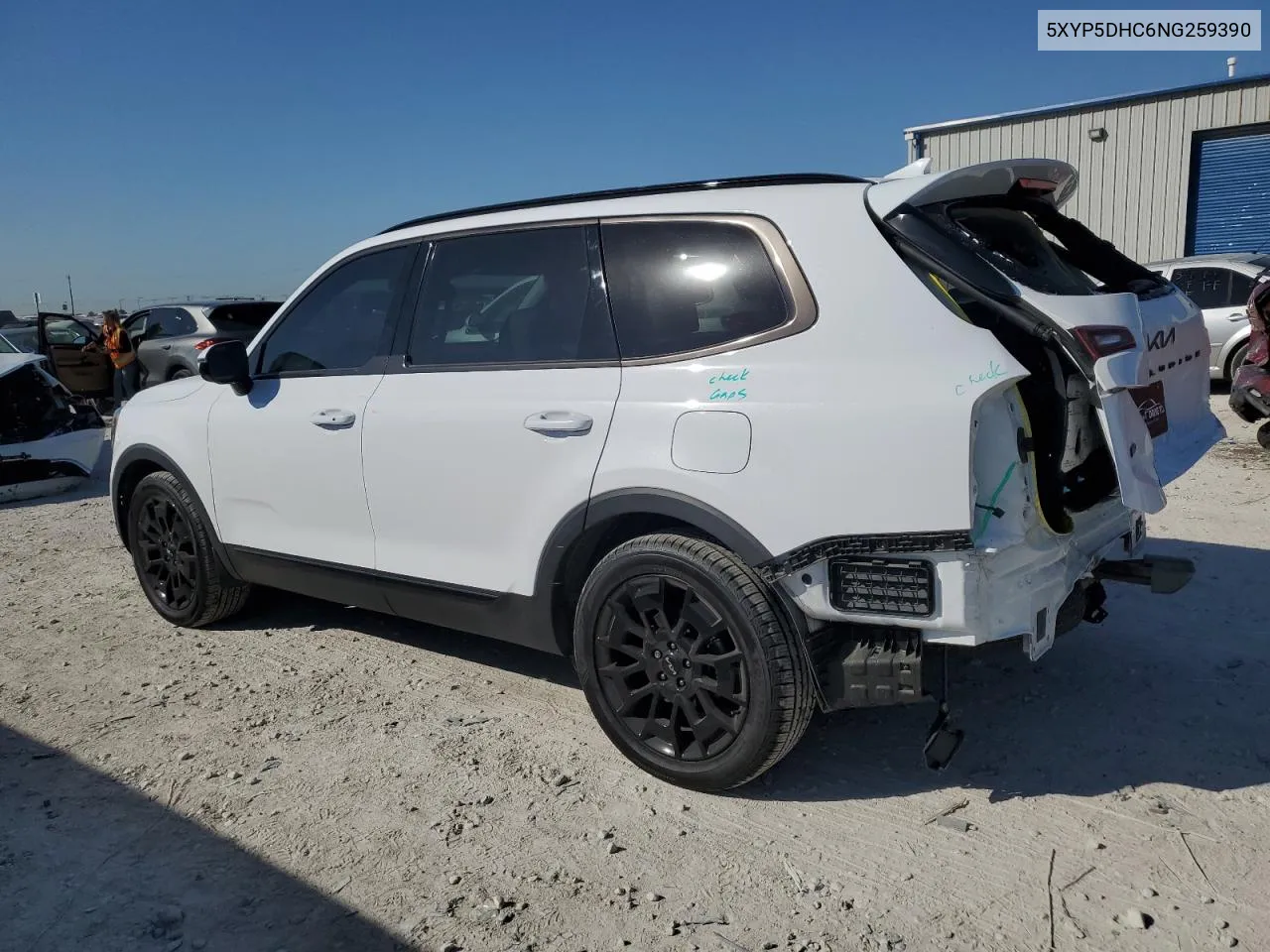 2022 Kia Telluride Sx VIN: 5XYP5DHC6NG259390 Lot: 73788094