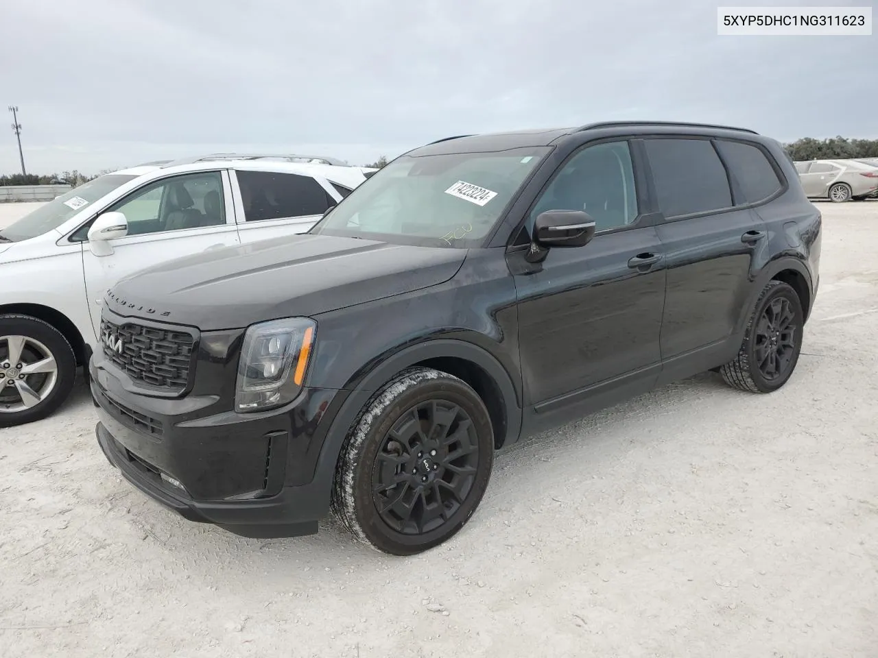 2022 Kia Telluride Sx VIN: 5XYP5DHC1NG311623 Lot: 74223224