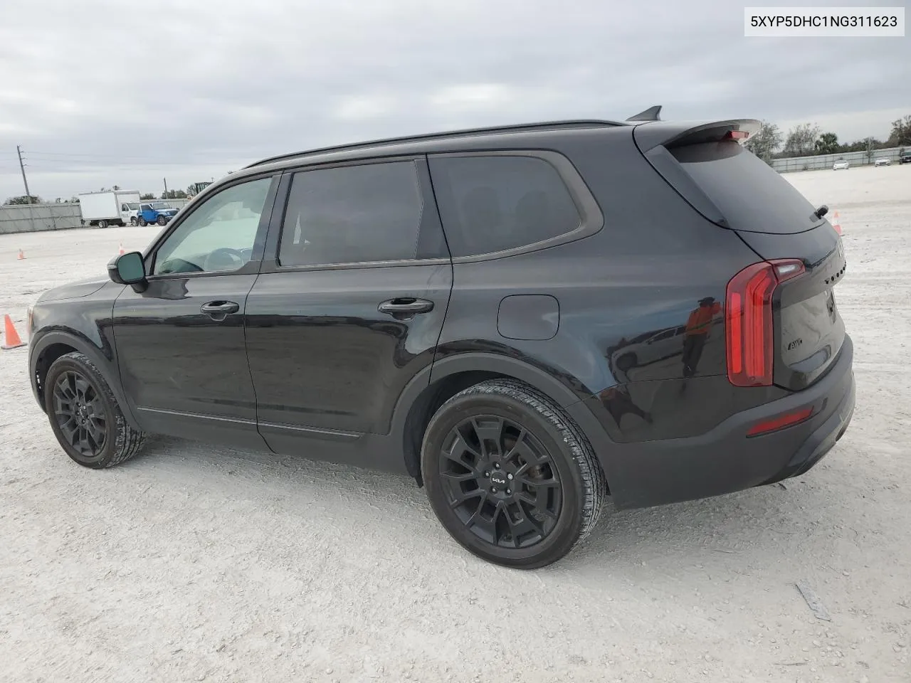 2022 Kia Telluride Sx VIN: 5XYP5DHC1NG311623 Lot: 74223224