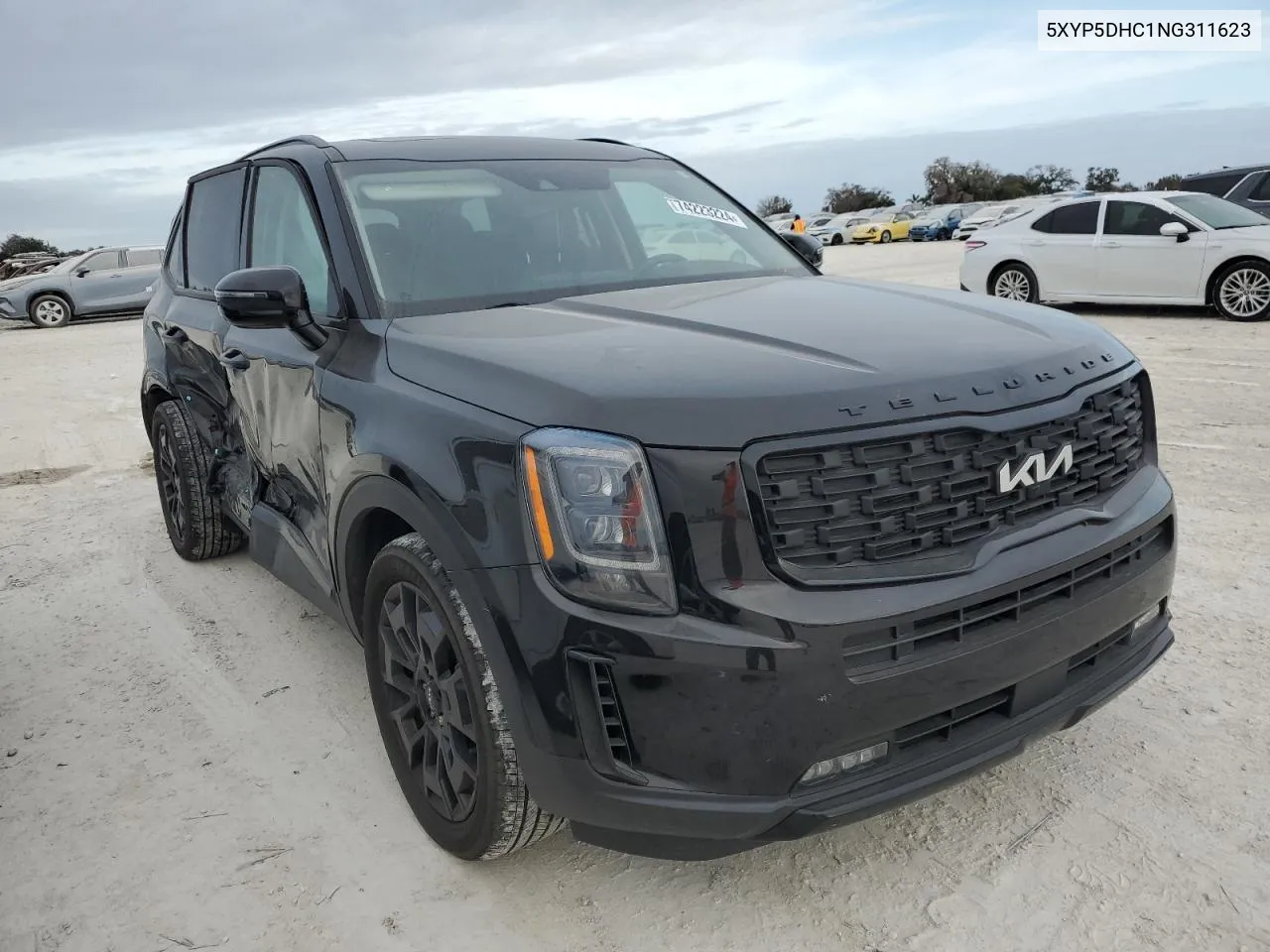 2022 Kia Telluride Sx VIN: 5XYP5DHC1NG311623 Lot: 74223224