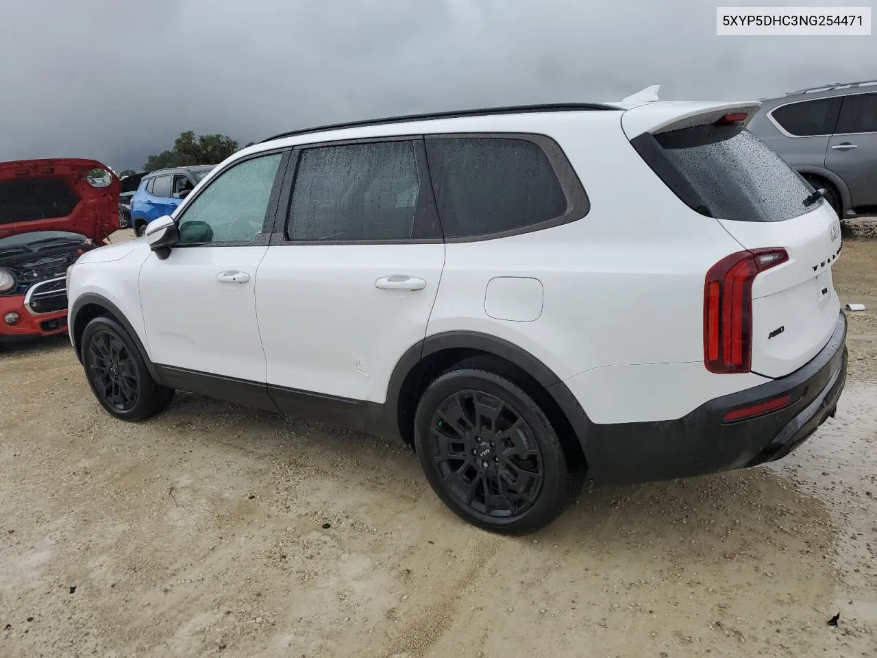 2022 Kia Telluride Sx VIN: 5XYP5DHC3NG254471 Lot: 74376574