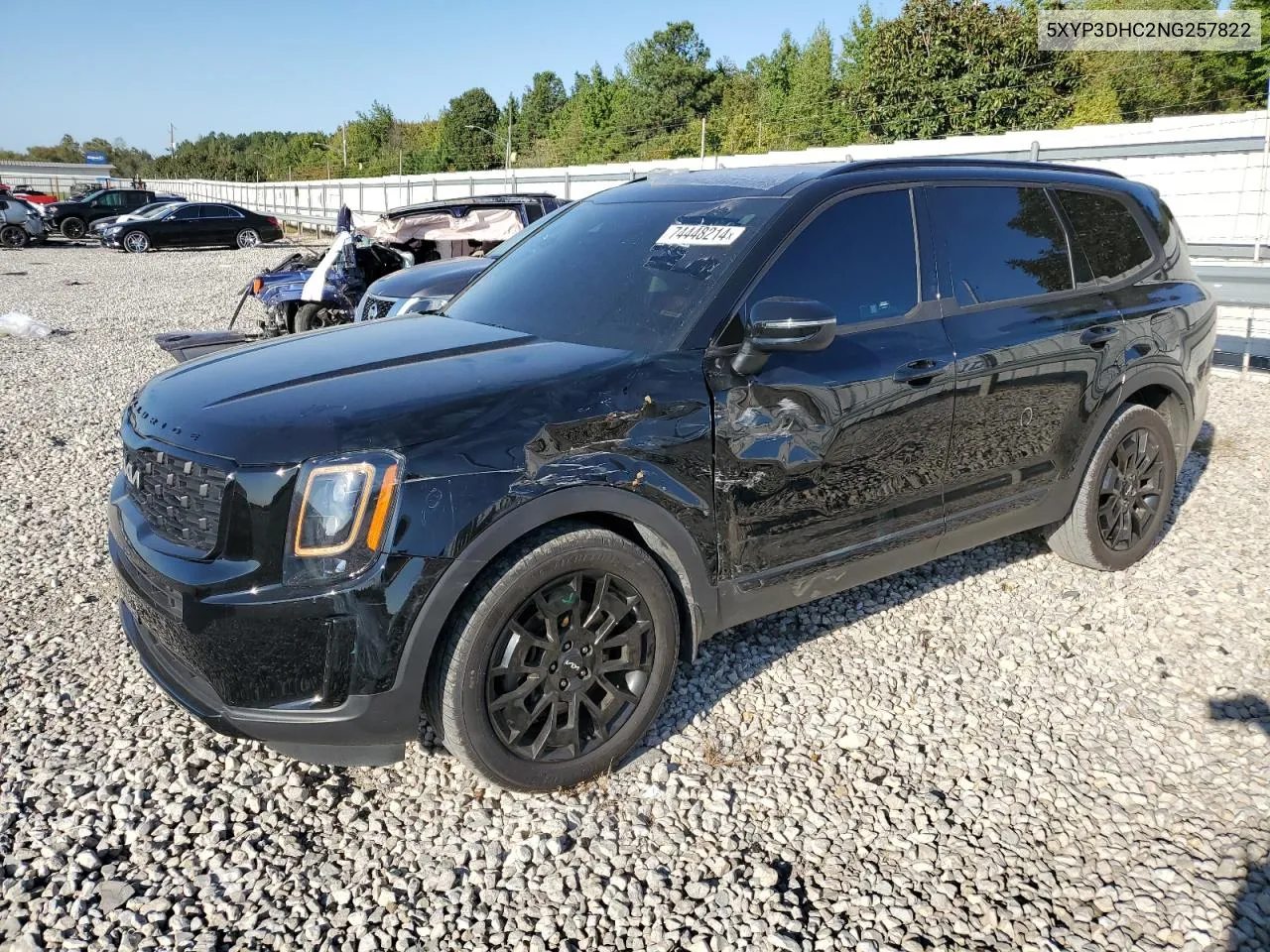 2022 Kia Telluride Ex VIN: 5XYP3DHC2NG257822 Lot: 74448214