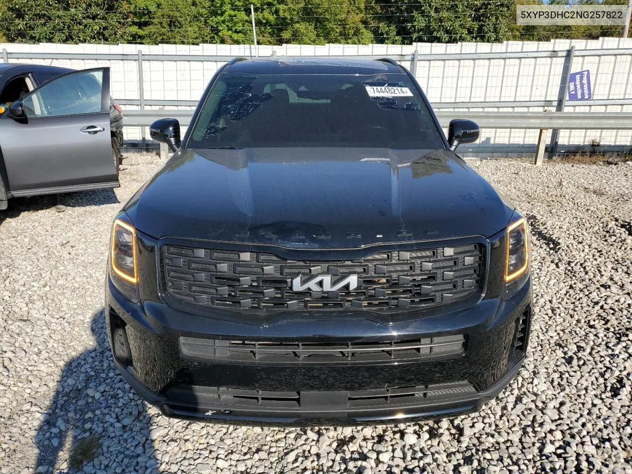 2022 Kia Telluride Ex VIN: 5XYP3DHC2NG257822 Lot: 74448214