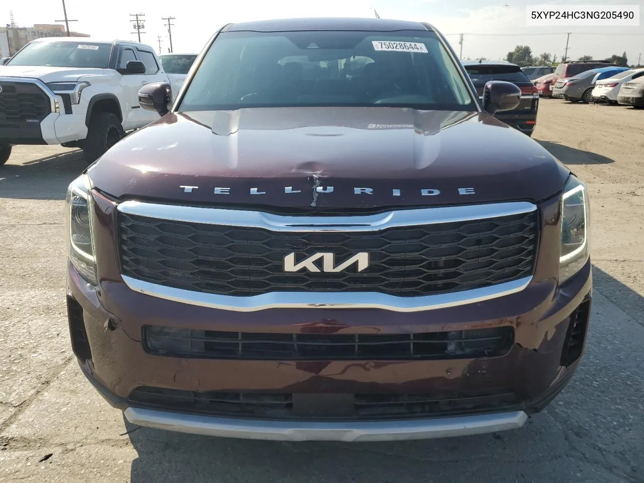 2022 Kia Telluride Lx VIN: 5XYP24HC3NG205490 Lot: 75028644