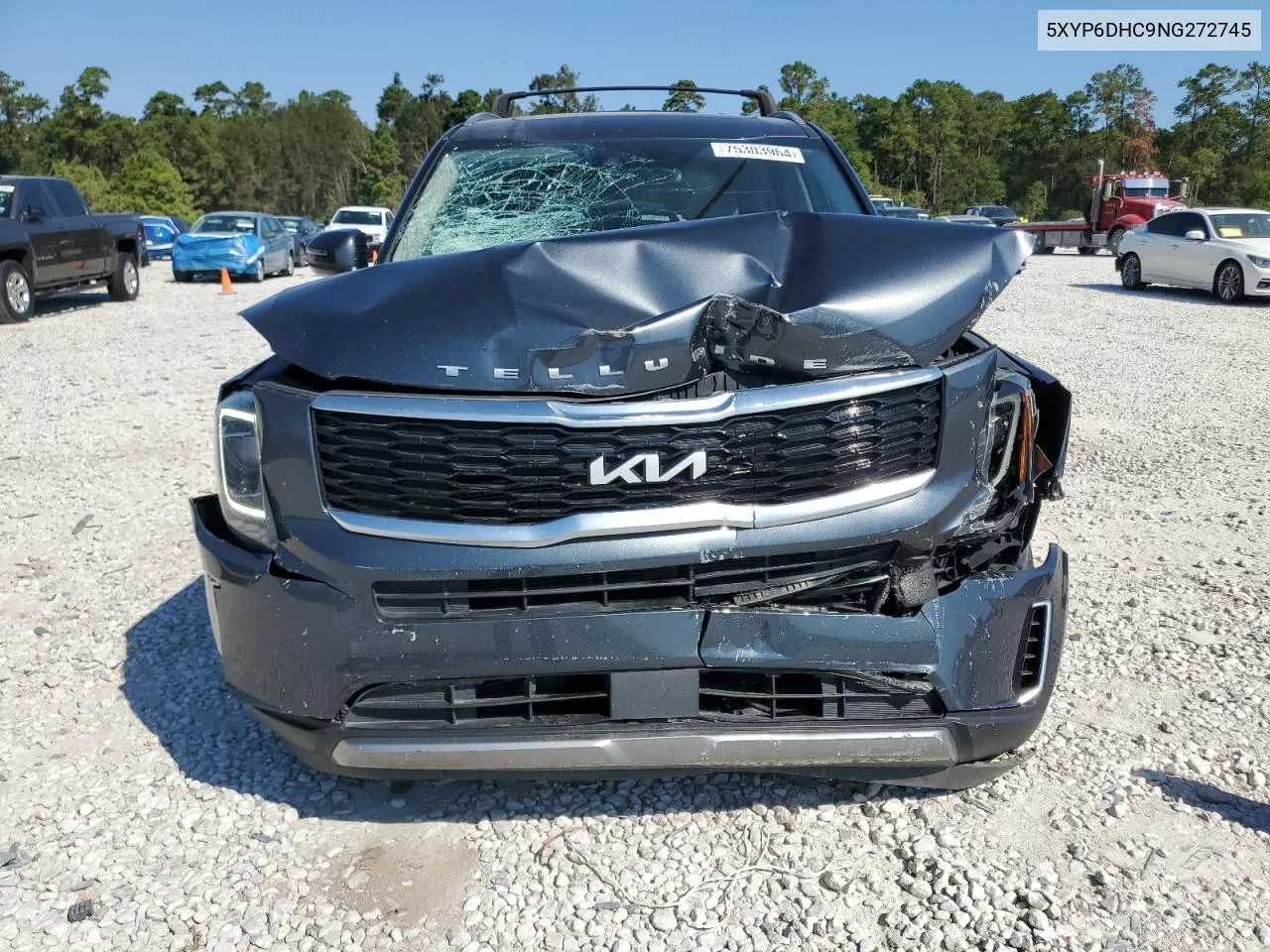 2022 Kia Telluride S VIN: 5XYP6DHC9NG272745 Lot: 75303964