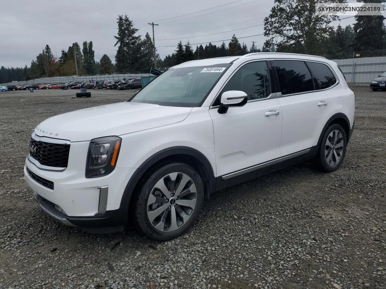 2022 Kia Telluride Sx VIN: 5XYP5DHC3NG224189 Lot: 75351444