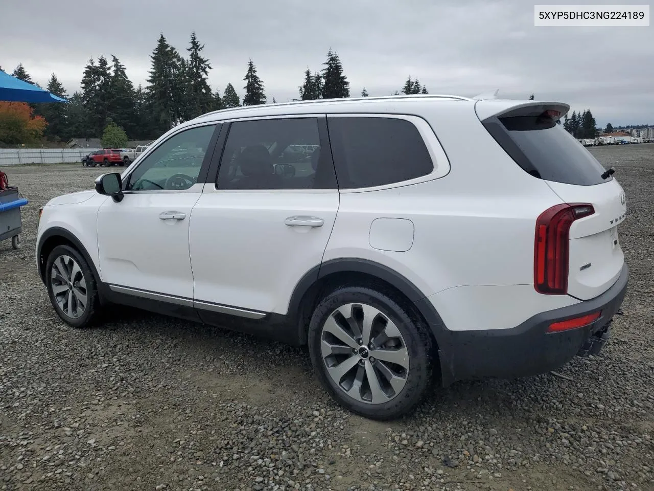 2022 Kia Telluride Sx VIN: 5XYP5DHC3NG224189 Lot: 75351444