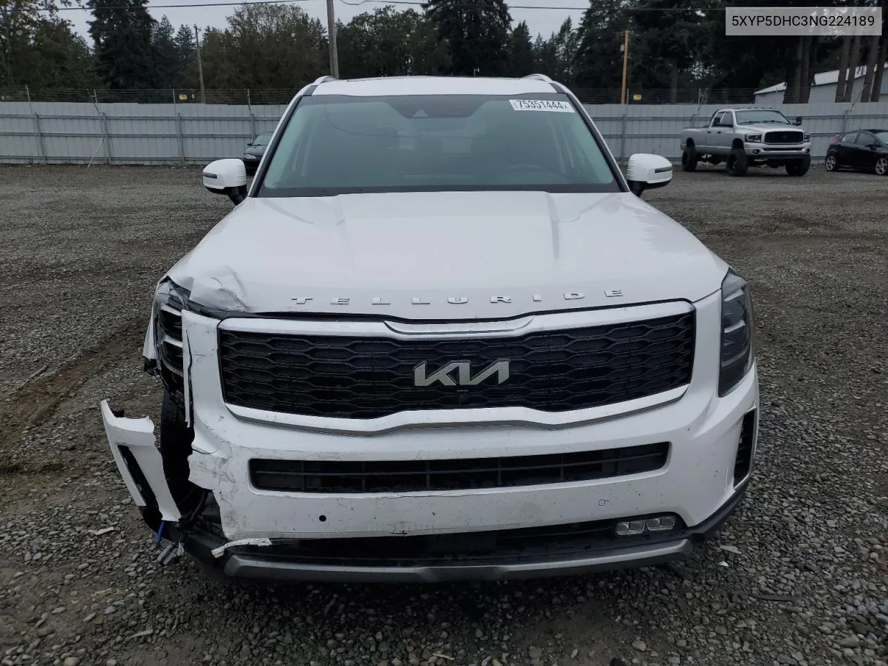 2022 Kia Telluride Sx VIN: 5XYP5DHC3NG224189 Lot: 75351444