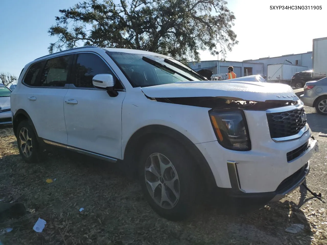 2022 Kia Telluride Ex VIN: 5XYP34HC3NG311905 Lot: 75470304