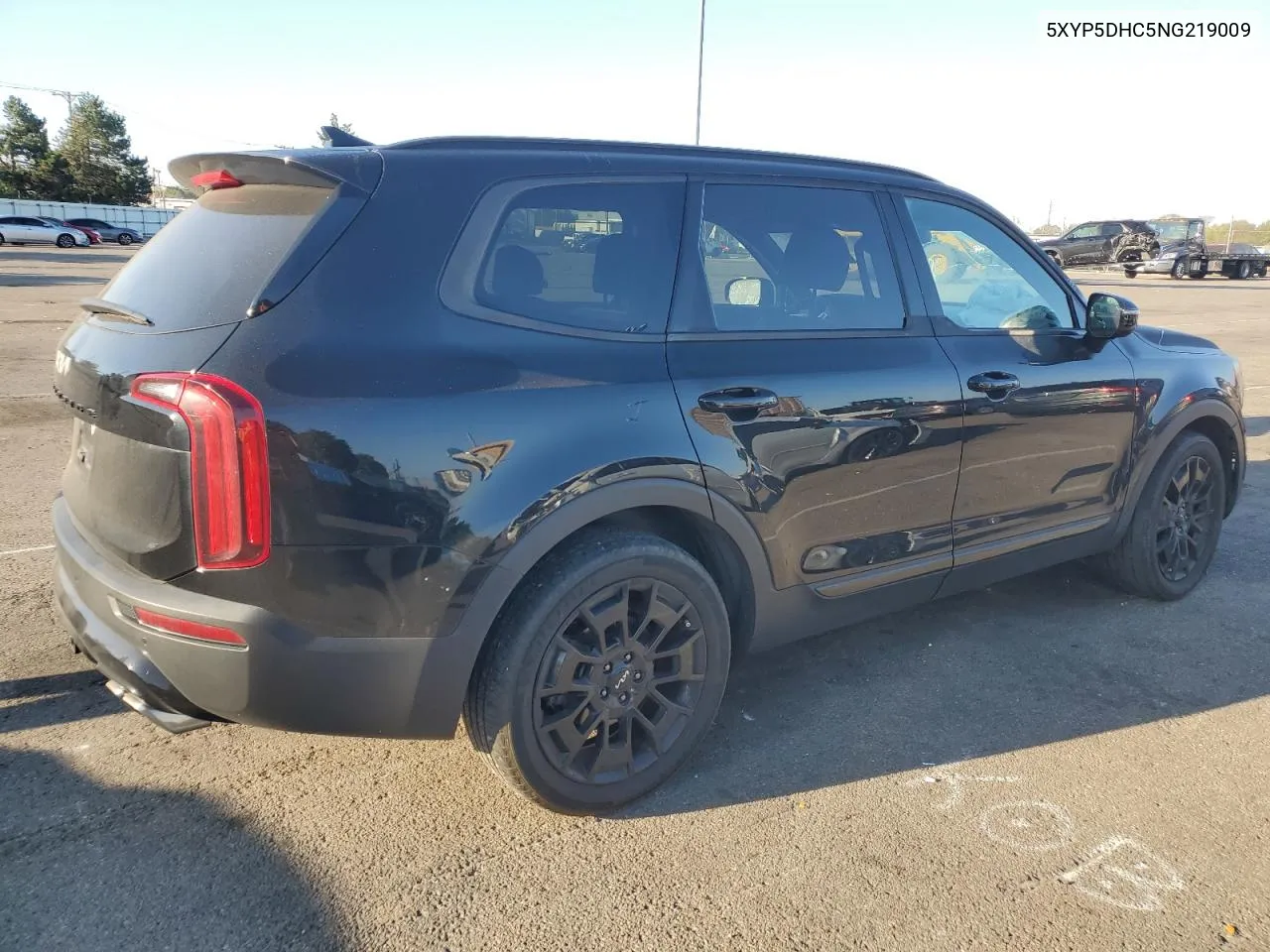 2022 Kia Telluride Sx VIN: 5XYP5DHC5NG219009 Lot: 75740424