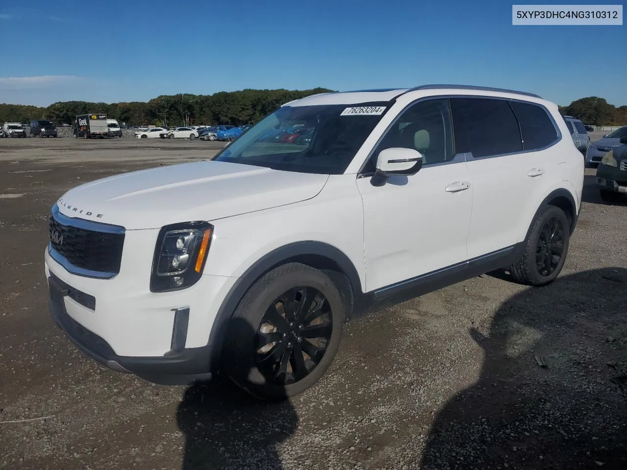 2022 Kia Telluride Ex VIN: 5XYP3DHC4NG310312 Lot: 76263204