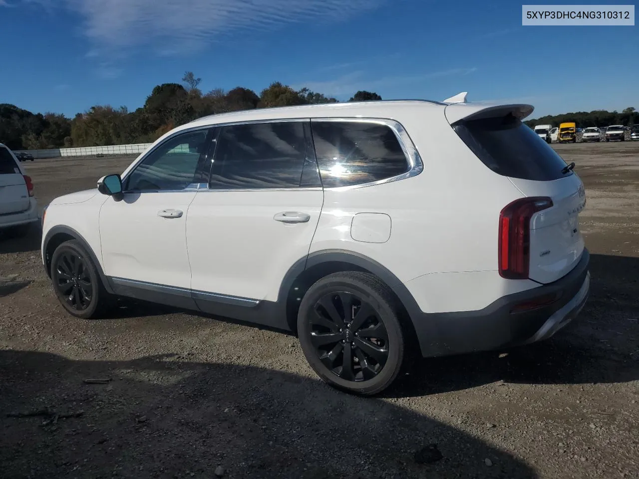 2022 Kia Telluride Ex VIN: 5XYP3DHC4NG310312 Lot: 76263204