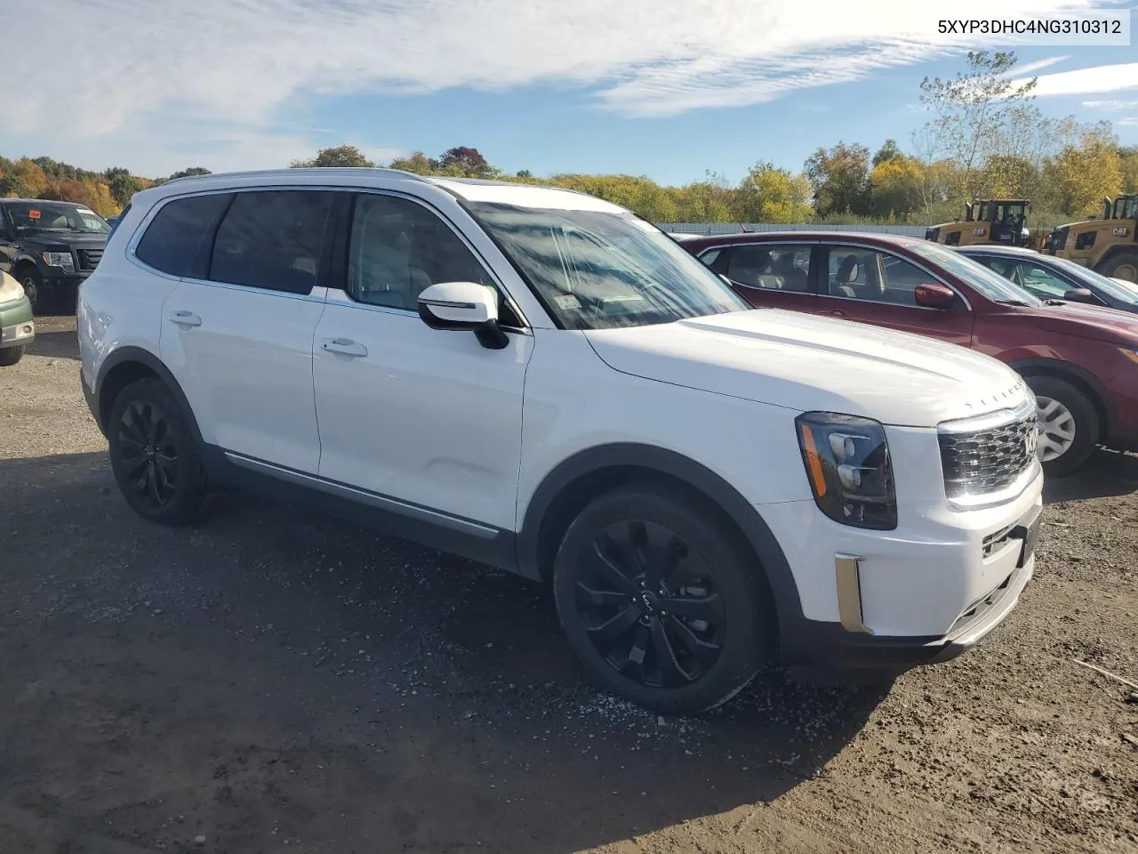 2022 Kia Telluride Ex VIN: 5XYP3DHC4NG310312 Lot: 76263204