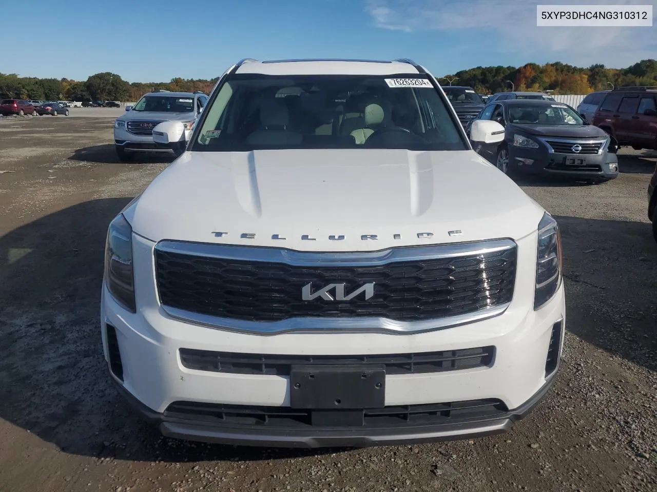 2022 Kia Telluride Ex VIN: 5XYP3DHC4NG310312 Lot: 76263204