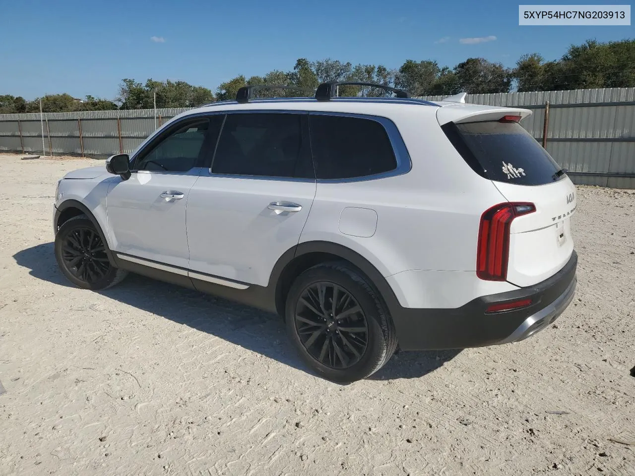 2022 Kia Telluride Sx VIN: 5XYP54HC7NG203913 Lot: 77255274