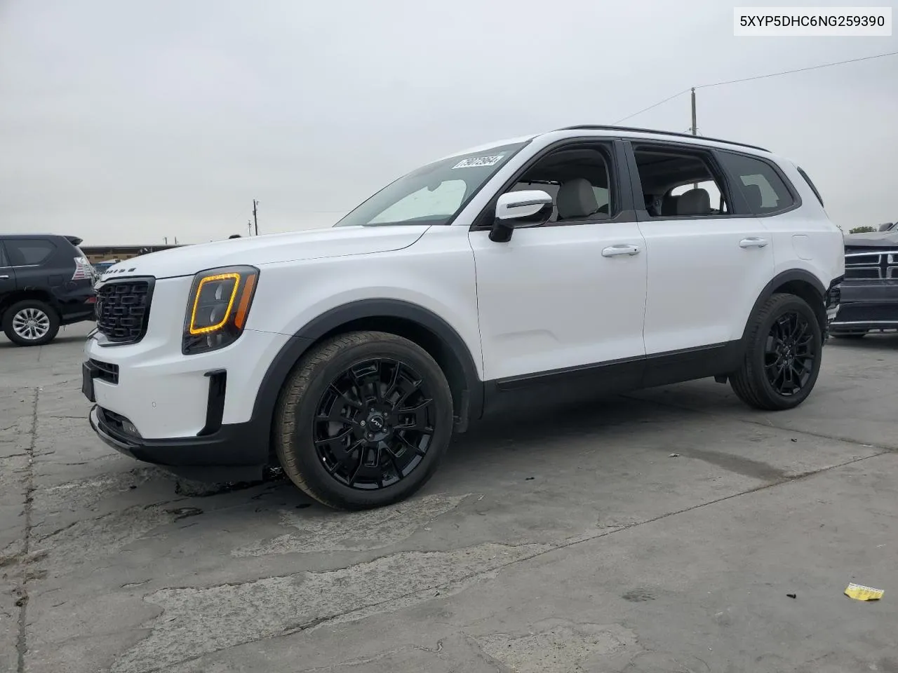 2022 Kia Telluride Sx VIN: 5XYP5DHC6NG259390 Lot: 79072964