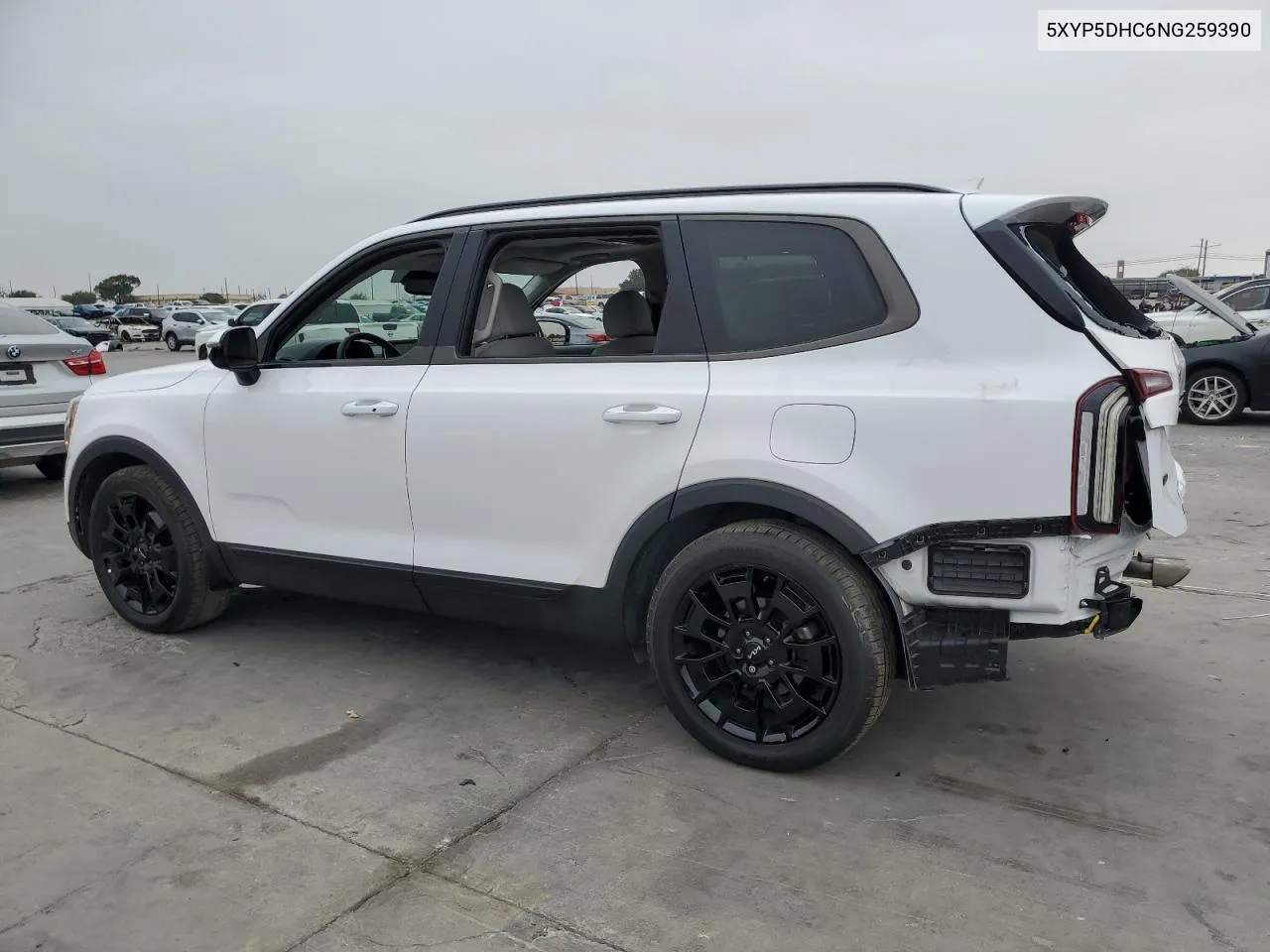 2022 Kia Telluride Sx VIN: 5XYP5DHC6NG259390 Lot: 79072964