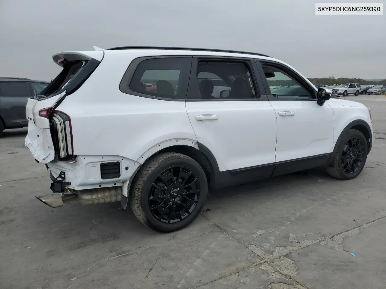 2022 Kia Telluride Sx VIN: 5XYP5DHC6NG259390 Lot: 79072964