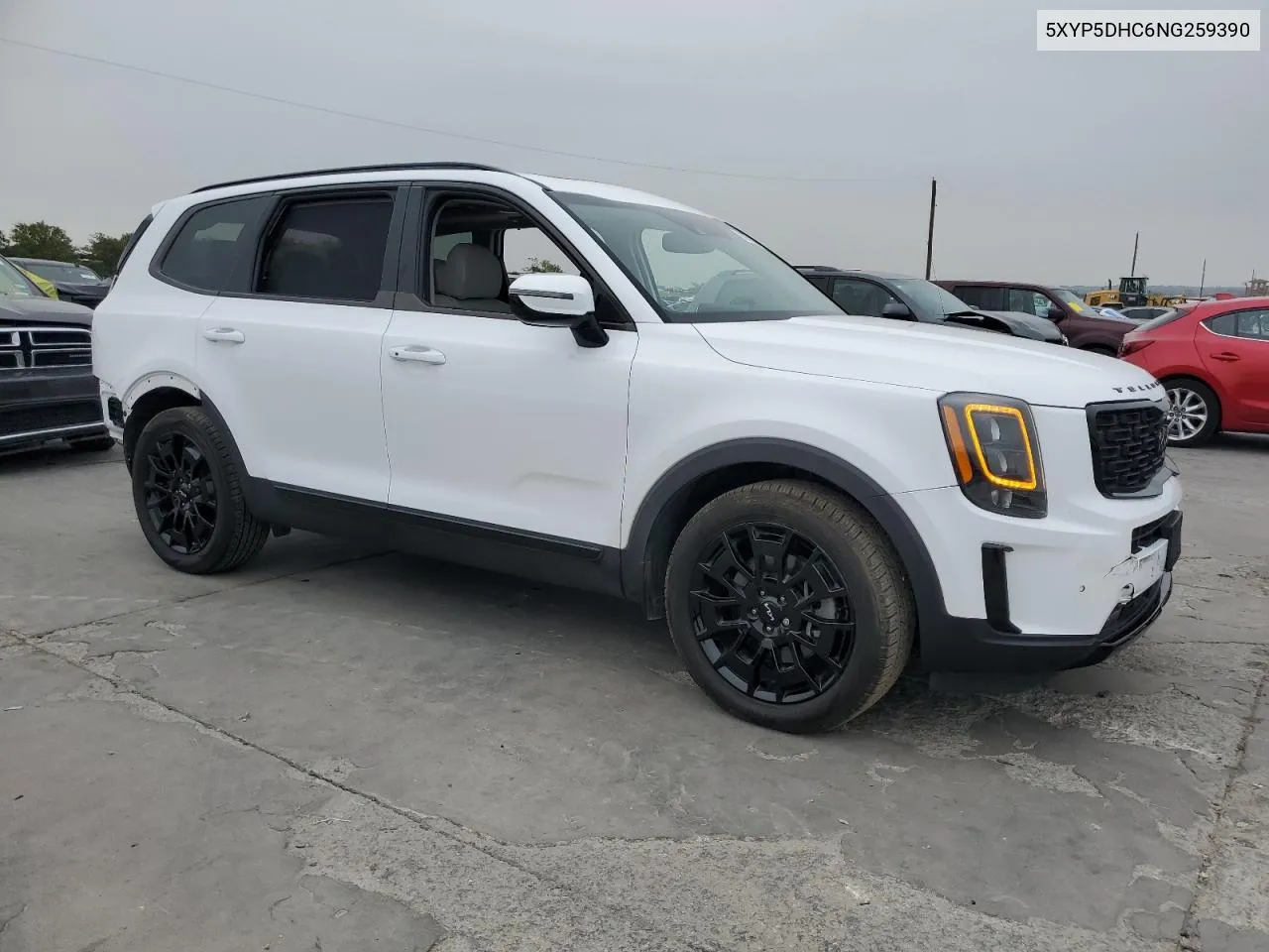 2022 Kia Telluride Sx VIN: 5XYP5DHC6NG259390 Lot: 79072964