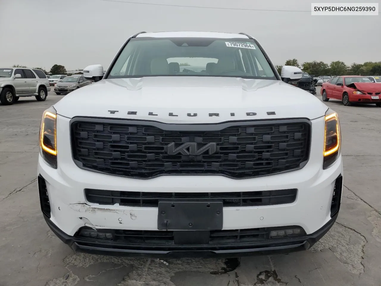 2022 Kia Telluride Sx VIN: 5XYP5DHC6NG259390 Lot: 79072964