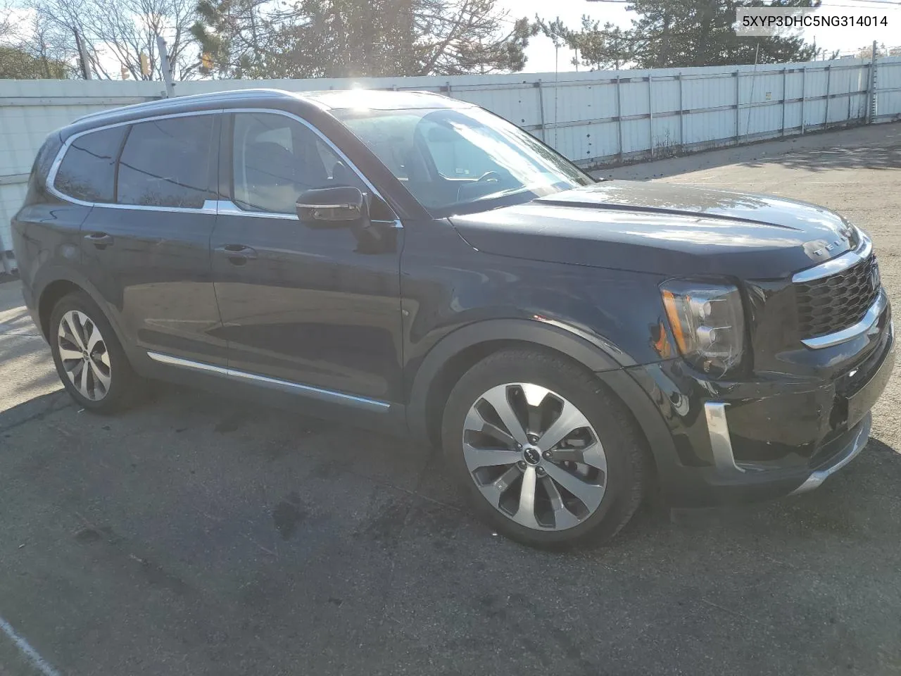 2022 Kia Telluride Ex VIN: 5XYP3DHC5NG314014 Lot: 80025014