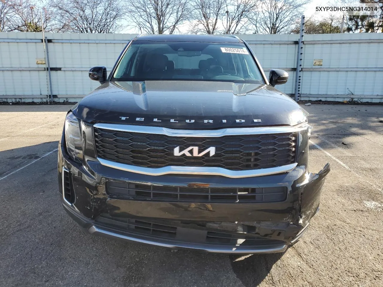 2022 Kia Telluride Ex VIN: 5XYP3DHC5NG314014 Lot: 80025014