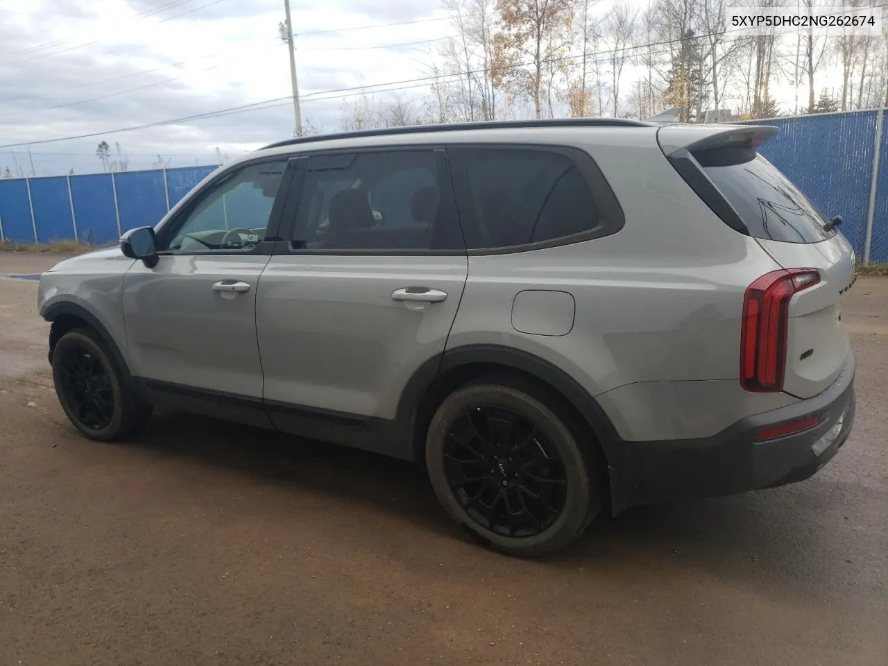 2022 Kia Telluride Sx VIN: 5XYP5DHC2NG262674 Lot: 80206154