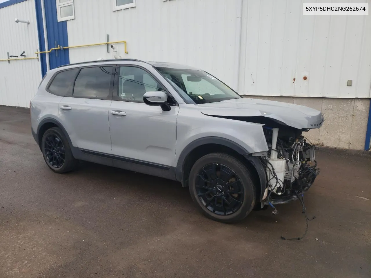 2022 Kia Telluride Sx VIN: 5XYP5DHC2NG262674 Lot: 80206154