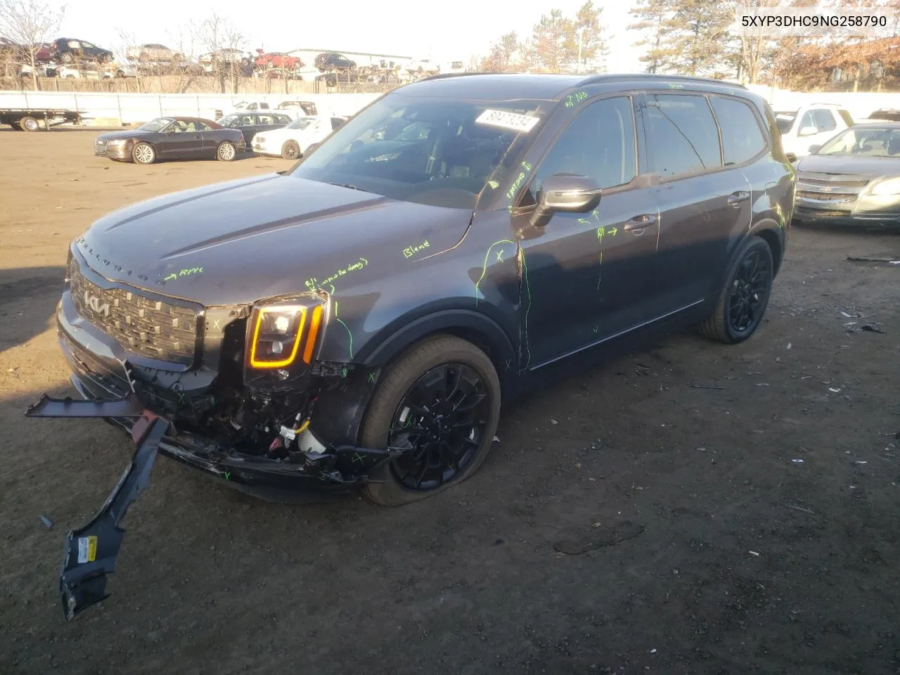 2022 Kia Telluride Ex VIN: 5XYP3DHC9NG258790 Lot: 80473234