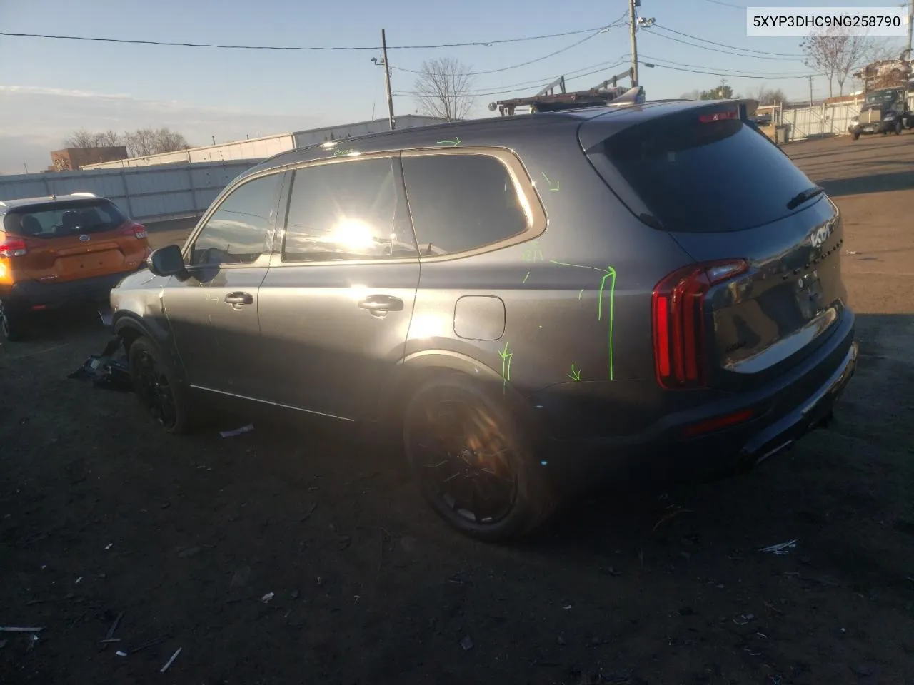 2022 Kia Telluride Ex VIN: 5XYP3DHC9NG258790 Lot: 80473234