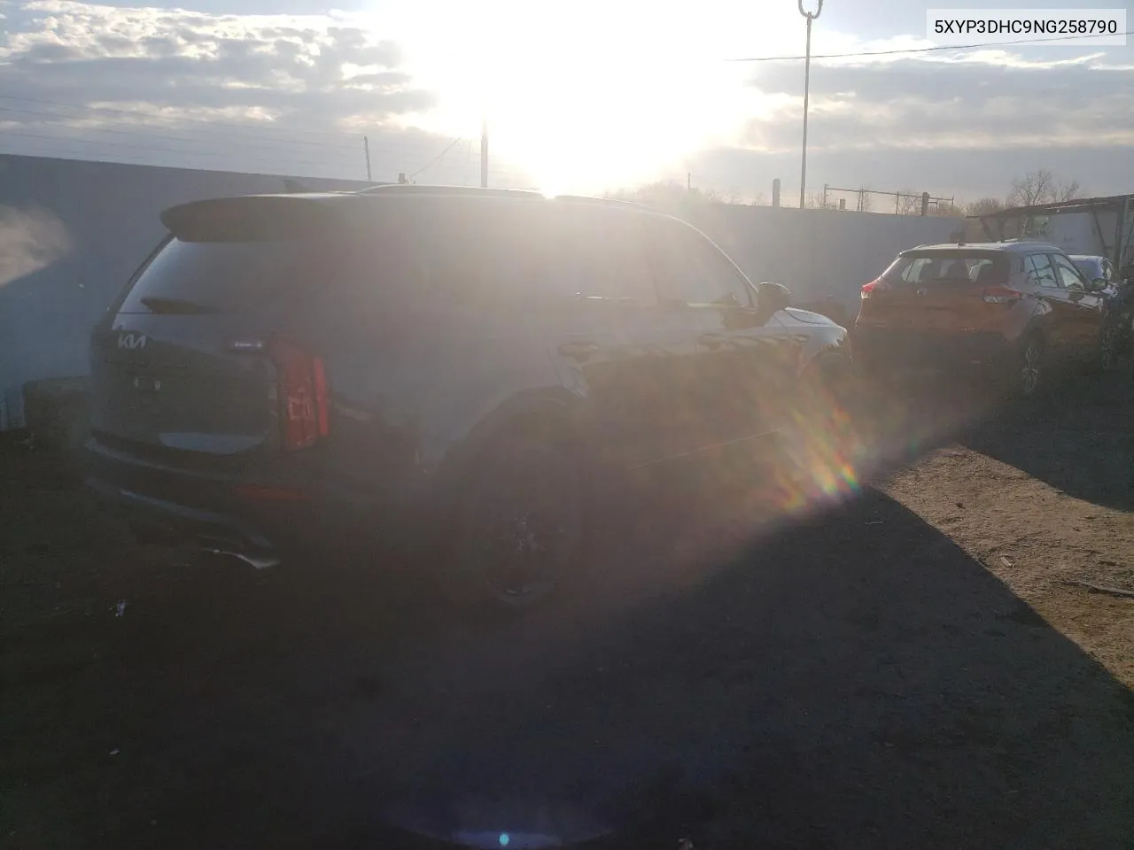 2022 Kia Telluride Ex VIN: 5XYP3DHC9NG258790 Lot: 80473234