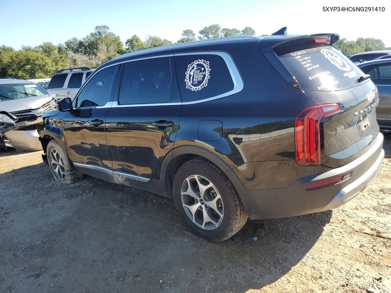 2022 Kia Telluride Ex VIN: 5XYP34HC6NG291410 Lot: 80865804